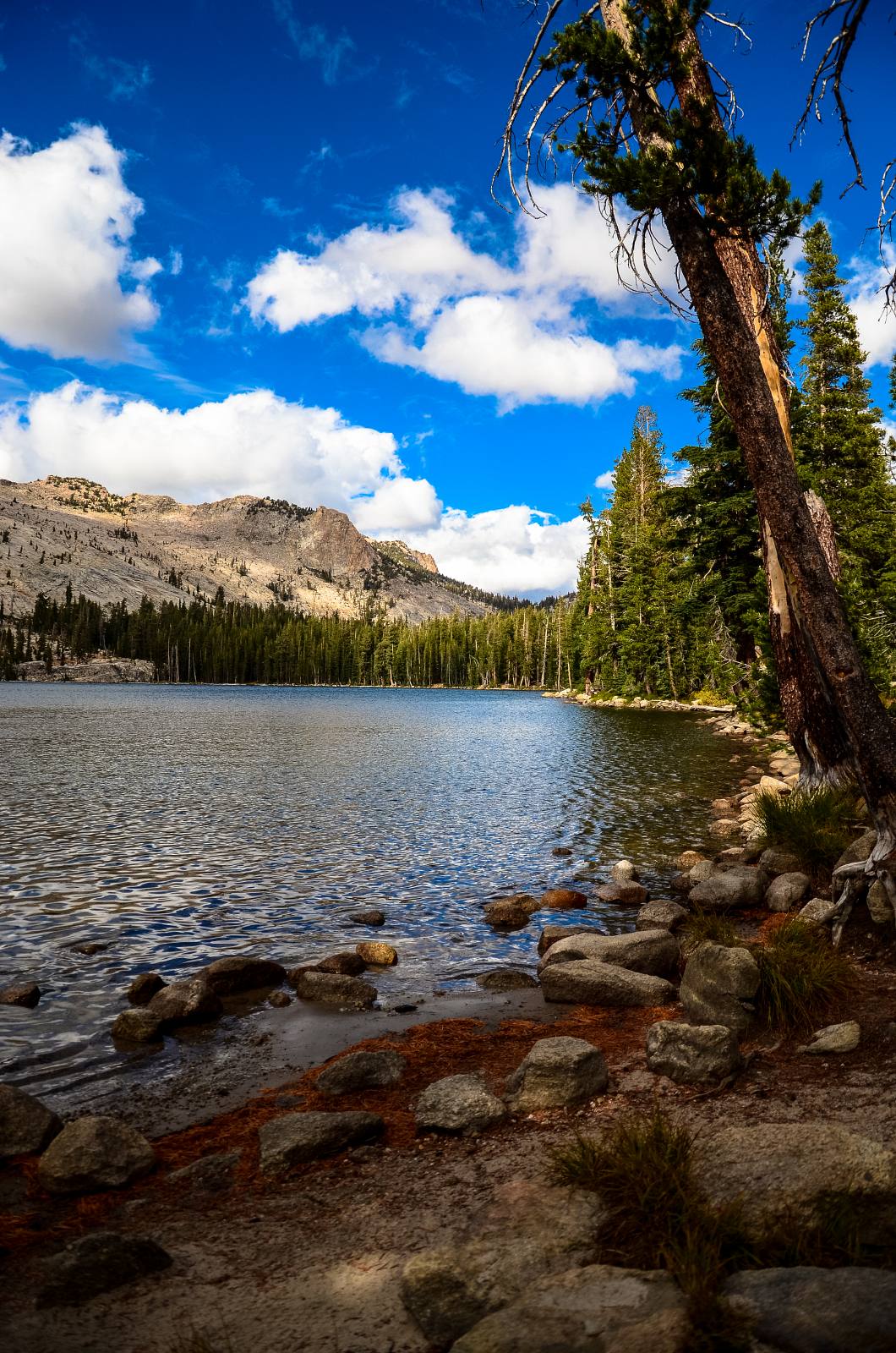 Yosemite